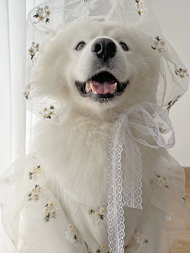 Летнее зимнее тонкое свадебное платье, костюм, подходит для подростков