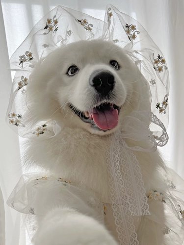 Летнее зимнее тонкое свадебное платье, костюм, подходит для подростков