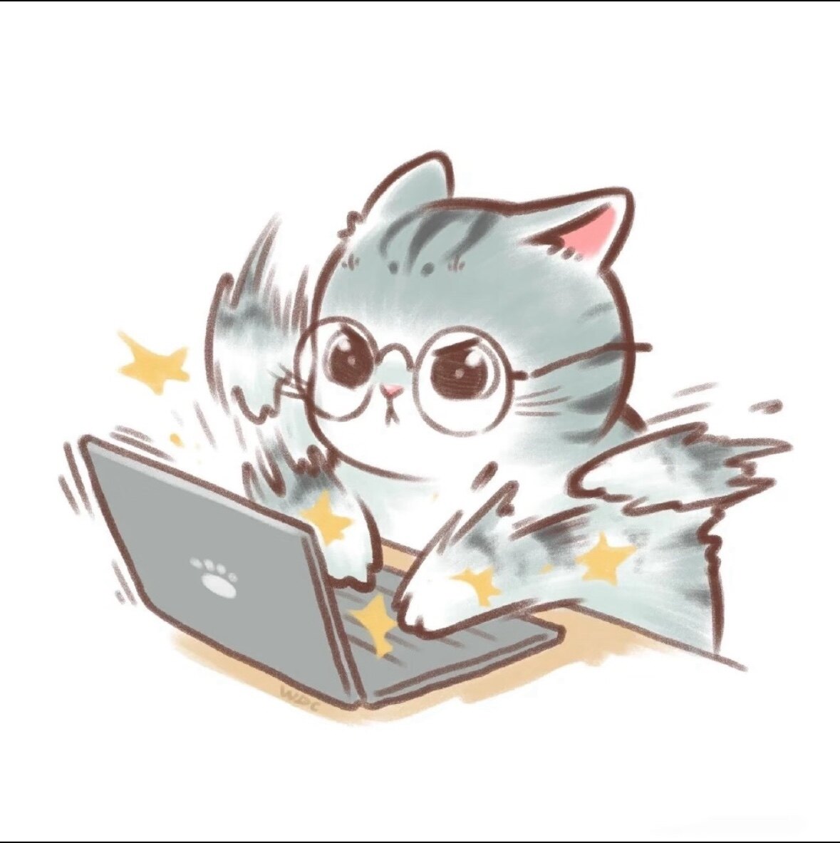 熊猫的旅行日记
