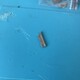 Original Disassembled iPad Air 4 5 10Th Generation Mini 6 Power Fingerprint Button Bezel Key Bracket A2588 2316