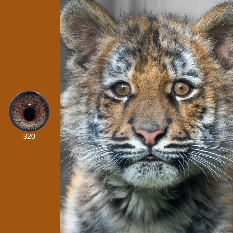 Animal Simulation Glass 3D Eyeballs Wool Felt Poke Fun Lantern Dinosaur Landscape Twist Stick Dragon DIY Clay Tiger Animal Simulation Glass 3D Eyeballs Wool Felt Poke Fun Lantern Dinosaur Landscape Twist Stick Dragon DIY Clay Tiger