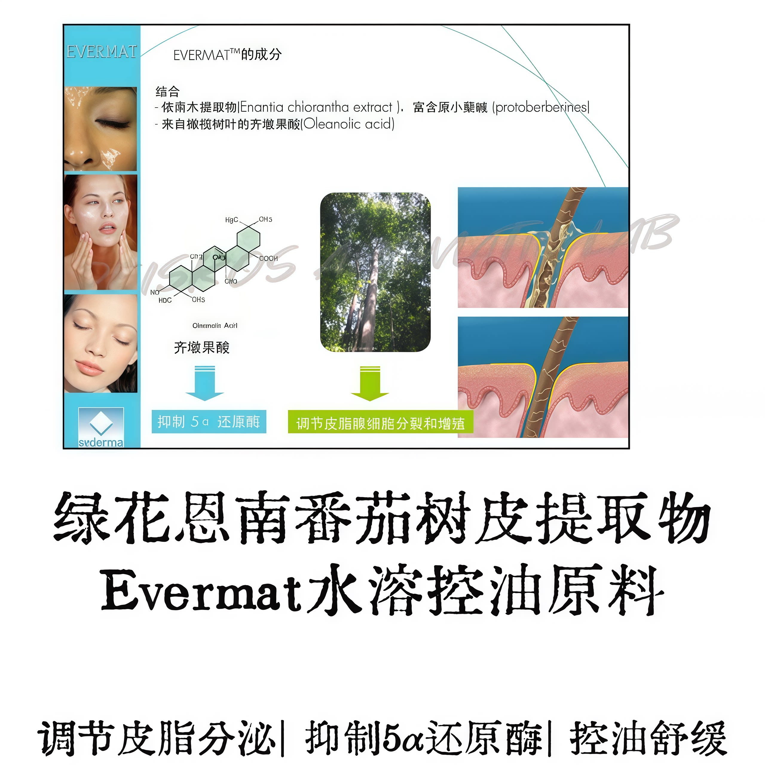 英国进口Evermat绿花恩南番茄树皮提取物控油平衡菌群水溶原料-淘宝Taobao | 天猫Tmall