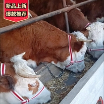 Cattle bridle set cattle farm cattle rope cattle rope artifact mesh rope adjustable rope faucet large cattle bolt set