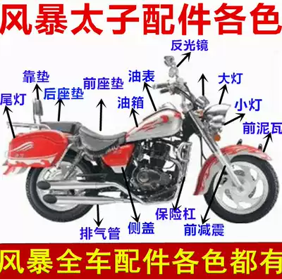 Qianjiang locomotive accessories storm Prince full car parts 150-3a-3b side cover living room lights front and rear tile lock seat bag