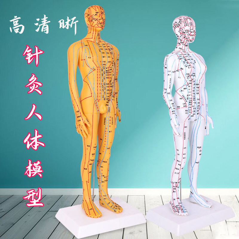 人体穴位针灸模型清晰全身经络中医教学培训扎针练习模特图小皮人