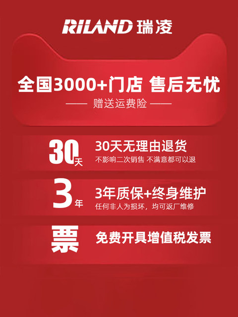 Ruilin Dc Argon Arc Welding Machine Ws200Se/250S/200S/300S China's Top Ten Brands Industrial Machine 220V