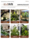 Artificial Green Plant Landscaping Combination for Indoor Window Decoration, Fake Flower Plant Landscape, Courtyard Landscaping Arrangement, Entryway Decoration