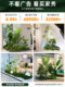 Artificial Green Plant Landscaping Combination for Indoor Balconies, Window Displays, and under Stairs, Decorative Fake Plant Landscape for Ambiance Creation