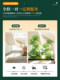 Artificial Green Plant Landscaping with Nandina Bamboo Combination for Window Decoration, Balcony Fake Plant Landscape, Entrance Hall Indoor Ambiance Artificial Tree