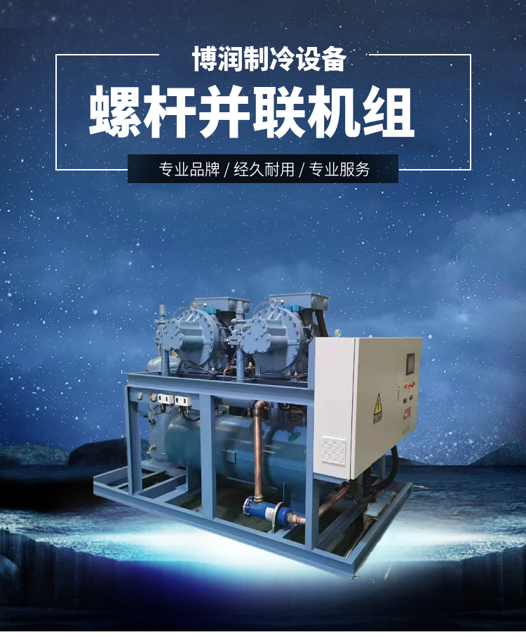 博润制冷40匹莱富康中低温螺杆机组SW3L4000冷库设备实力厂家优惠(pic6)