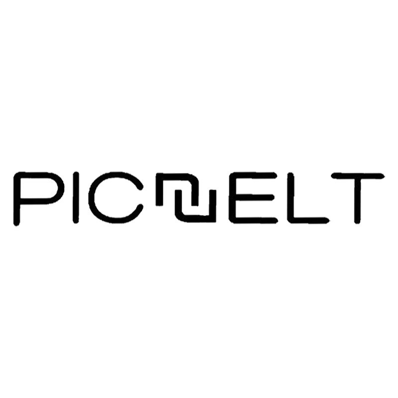 Picnelt海外旗舰的LOGO
