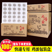 Pearl Cotton Eggs Packaging Box Home Earth Egg Packing Box Send Express Shockproof Anti-Fall Packing Special Egg Toi