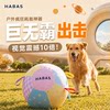 Dog toy large pet ball dog ball