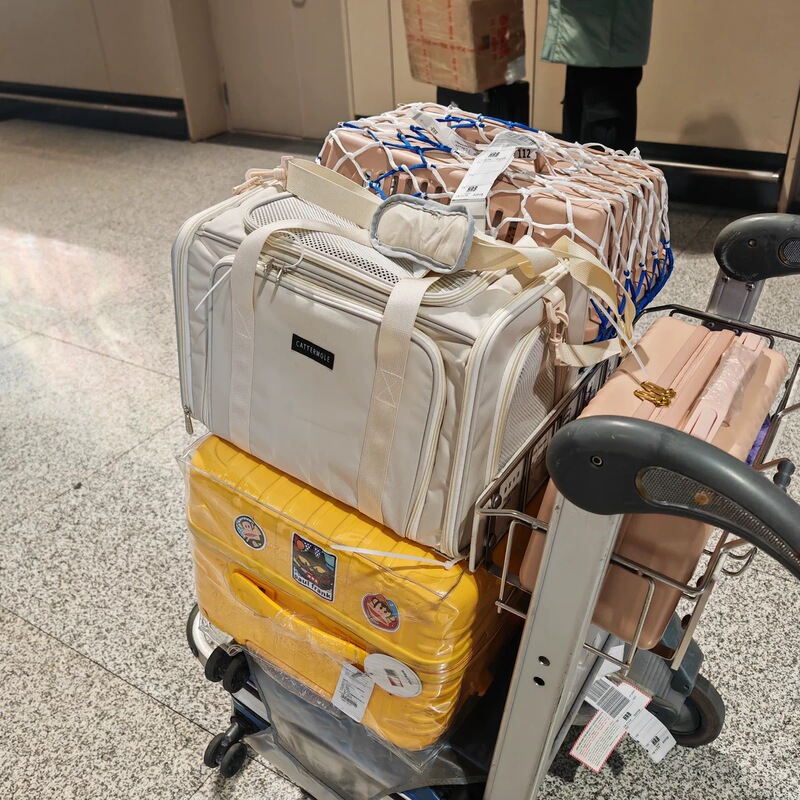 Pet Airline Cat Carrier Soft Bag Cat Bag Large Space Cabin Hna (China Eastern Airlines) Special Portable Cat Bag for Travel Pet Airline Cat Carrier Soft Bag Cat Bag Large Space Cabin Hna (China Eastern Airlines) Special Portable Cat Bag for Travel