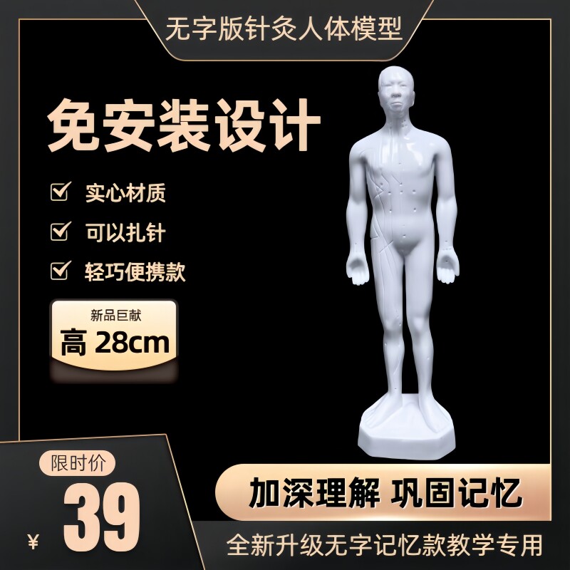 28cm便携针灸人体穴位模型中医十二经络穴位全身经络图无字可扎针