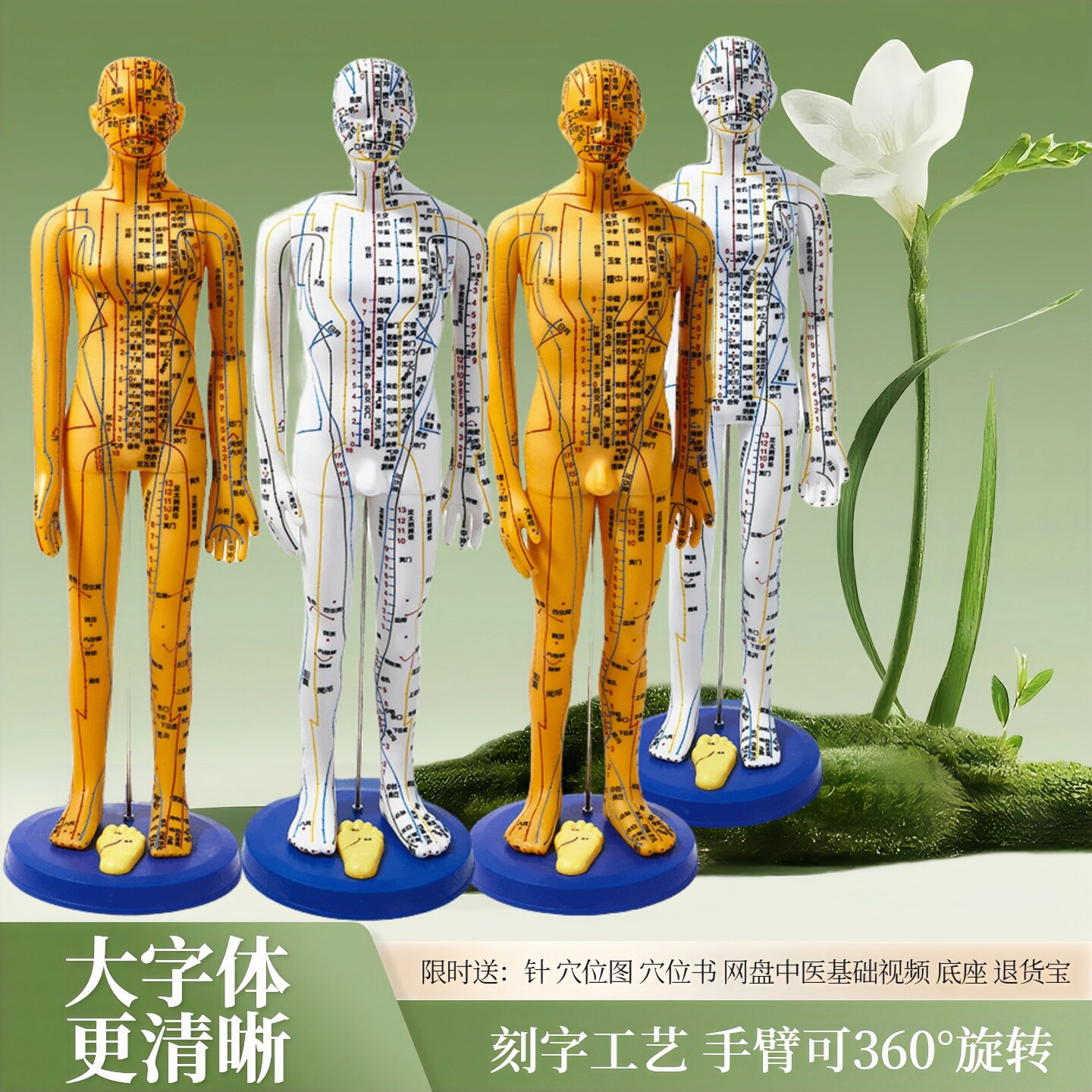 针灸人体模型经络穴位图十二经络皮人全身经络扎针练习大号可扎针