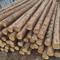 Pine pile piling wood fir pile larch river wood pile logs flood control slope protection greening support pole logs