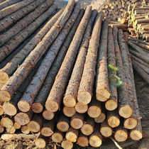 Pine wood pile piling wood outdoor river slope protection log solid wood pile greening fir support rod larch wood pile
