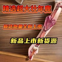 Whole deer penis Jilin whole deer penis with certificate deer penis soaked in wine male deer penis slices deer penis soaked in wine