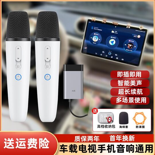 Adecuado para BYD Dolphin Seal 06 micrófono destructor Qin L Tang Song pro Han micrófono inalámbrico original para coche