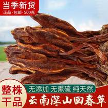 Rejuvenation grass wild Yunnan mountains new goods 500g Dingtianzhu Cistanche deserticola wine ingredients mens immortal grass tea