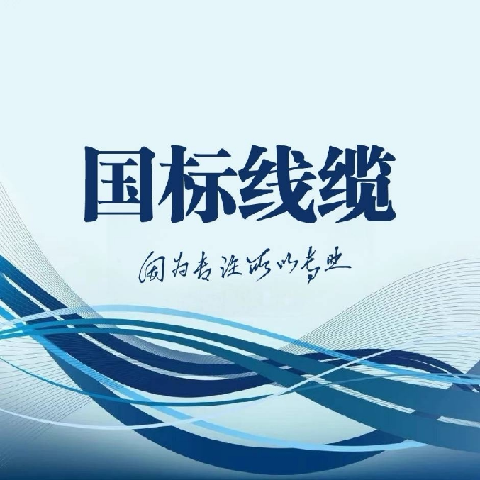 粤顺泰国际线缆的LOGO