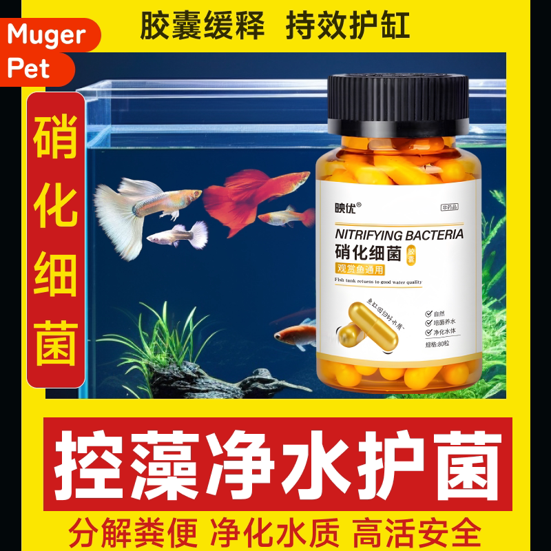 硝化细菌鱼缸专用水质净化消化净水剂胶囊液水质稳定剂销化活菌干