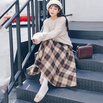 Early winter skirt pane half - body dress 2022 new Han edition loose and thin high waist A - word swing dress