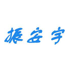 北京振安宇仪器仪表的LOGO
