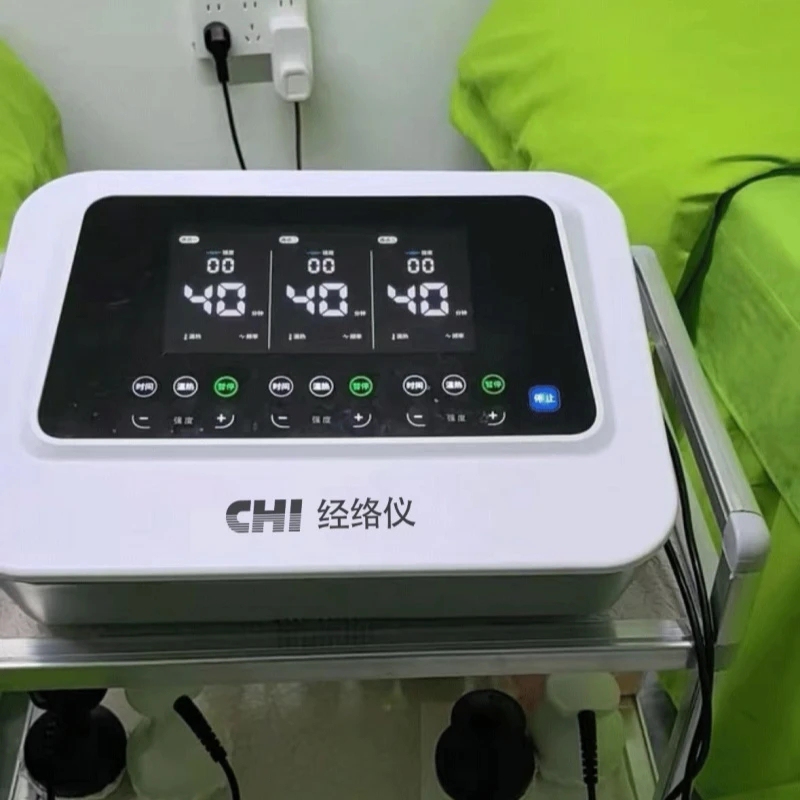 Evergreen China Bio Vitality Meridian Instrument Bioelectricity Health Instrument Dual-Quantity Chi Vitality Value Electrotherapy Meridian Unblocking