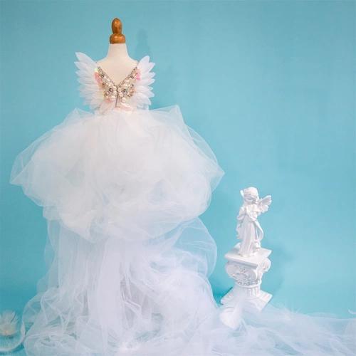 Aoawow Pet High Luxury Fashion Метод вышив