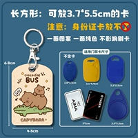 Небольшой квадратный крокодил бара