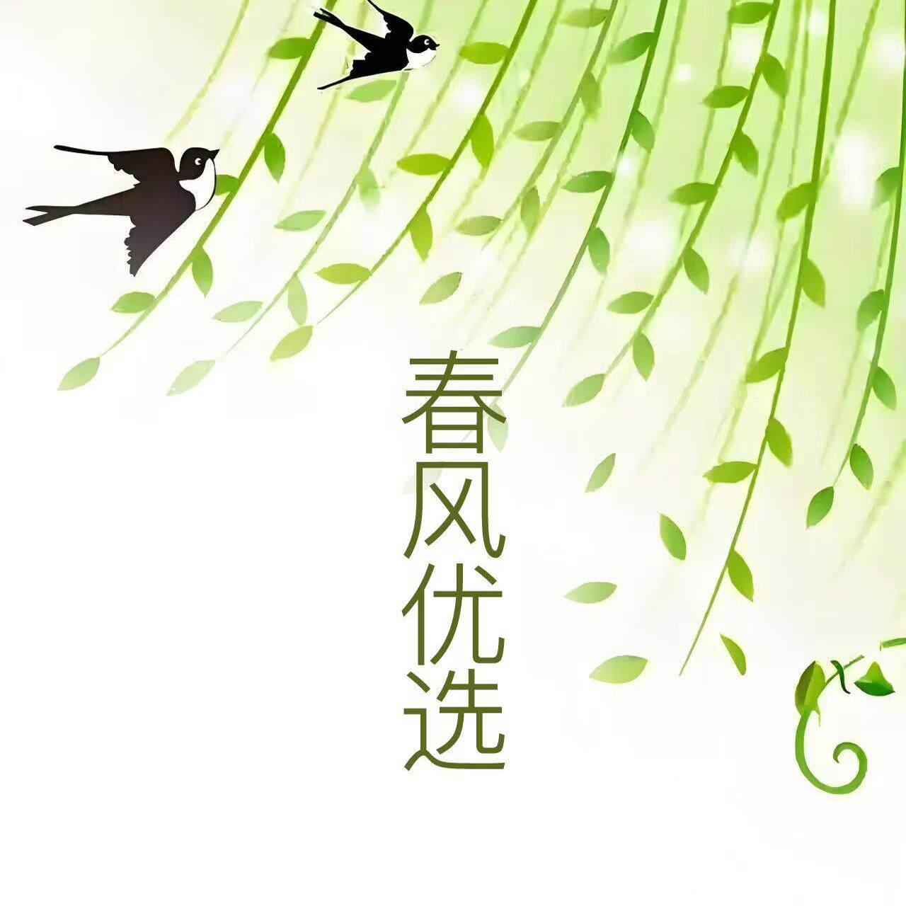 春风e优选