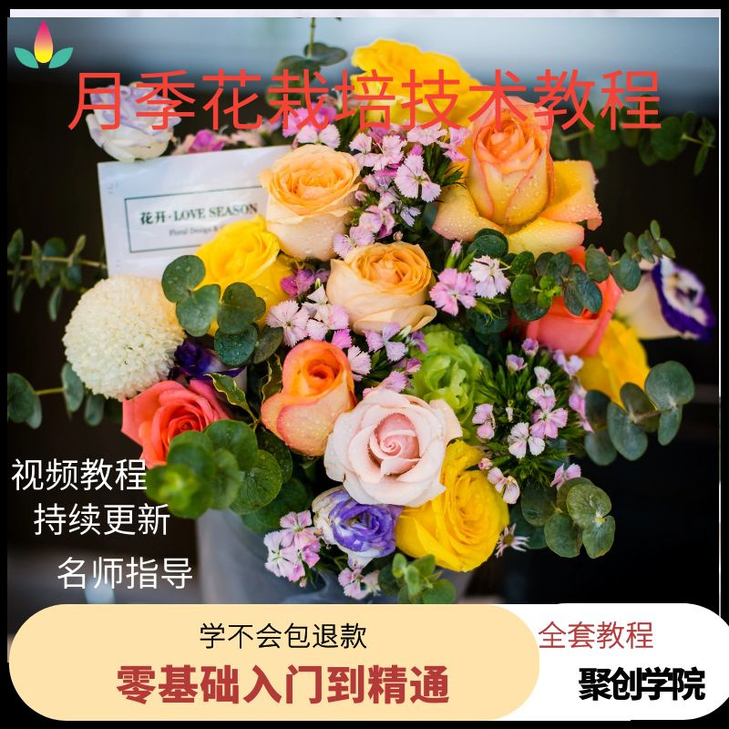 Rose Flower Cultivation Techniques Planting Video Tutorials Hybrid Breeding Efficient Disease and Pest Control Training Self-Study Course