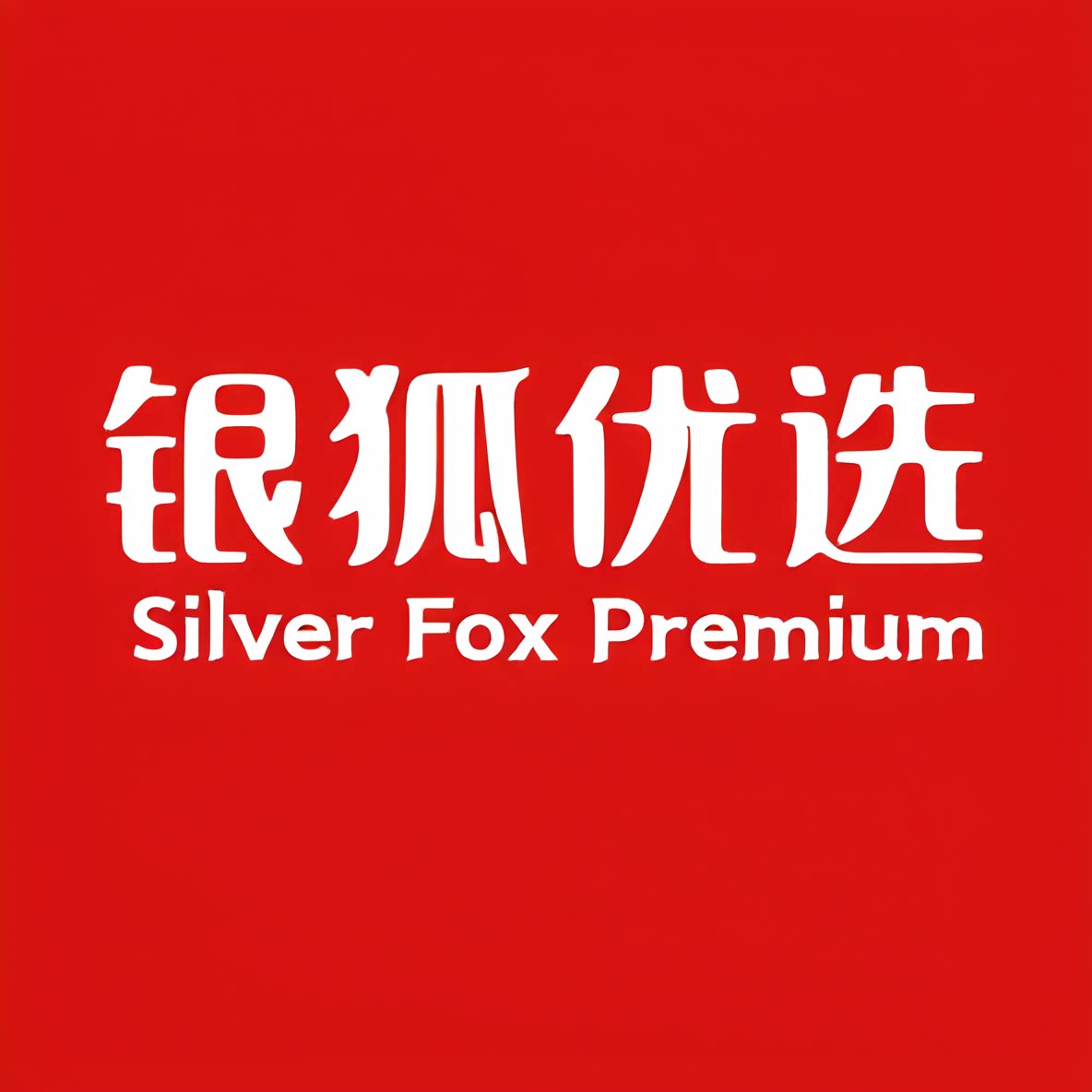银狐优选女装店