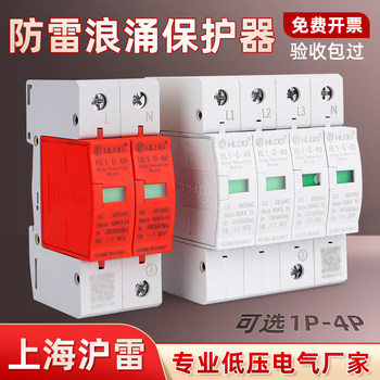 Shanghai Hulei Lightning Arrester Hl1-B80 Surge Switch Arrester Surge Protector 4P Module 2P Secondary