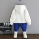 Boys plus fleece sweater suit autumn and winter models cool and handsome new style foreign style boy baby children's hooded top two-piece set trendy