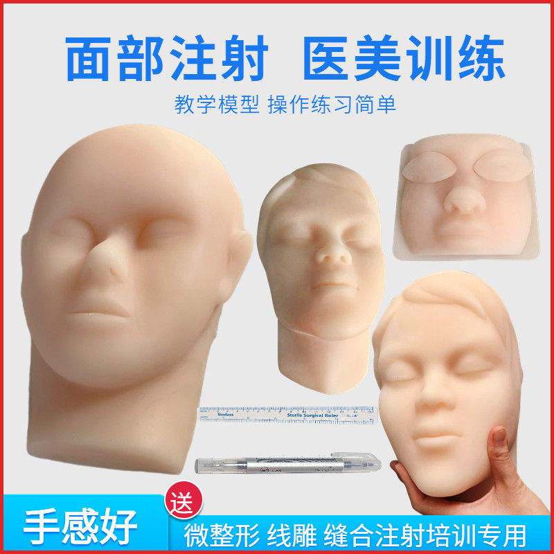 微整形线雕脸部神经血管 仿真面部美容注射缝合模型 软体硅胶头