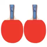 Настольный настольный настольный настольный настольный теннисный настольный теннис