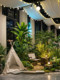 Simulated Green Plant Landscaping Combination, Artificial Plants, Tropical Coconut Trees, Indoor Window Display, Shopping Mall, Hotel, Camping Style Decoration