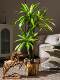 High-End Artificial Green Plant, Brazilian Wood, Luxury Indoor Living Room Fake Tree, Large Floor-Standing Decorative Potted Plant