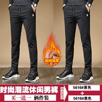 5616 Black Plus Velvet +5616 Black Plus Velvet