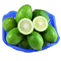 Hainan seedless perfume lemon fruit fresh lemon fruit fresh fruit green lemon fresh skin thin first-class milk tea shop exclusive