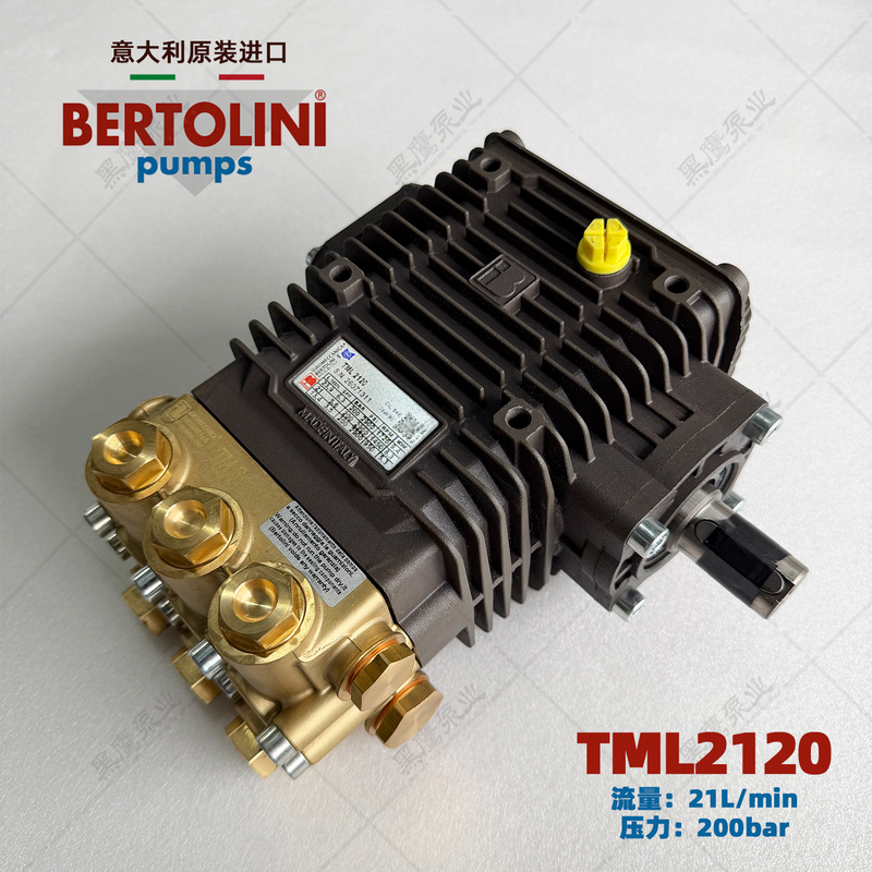 Bertolini Italian Imported High-Pressure Plunger Pump Bortolini Tml2120 High-Flow Mist Water Pump Bertolini Italian Imported High-Pressure Plunger Pump Bortolini Tml2120 High-Flow Mist Water Pump