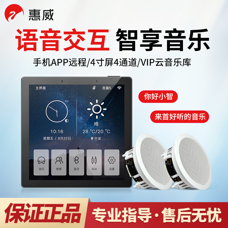 Hivi hivi VX5-C ceiling speaker set family background music host system smart home audio