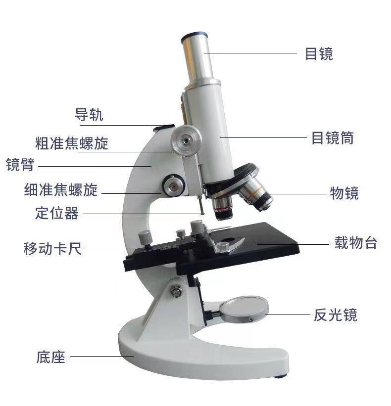 显微镜专业生物光学看藻类微生物学生实验640倍  XSP－02 科瑞谱