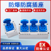 Explosion-proof socket switch 200V380V five-hole ten-hole industrial exposed socket type 86 single-open industrial lighting socket
