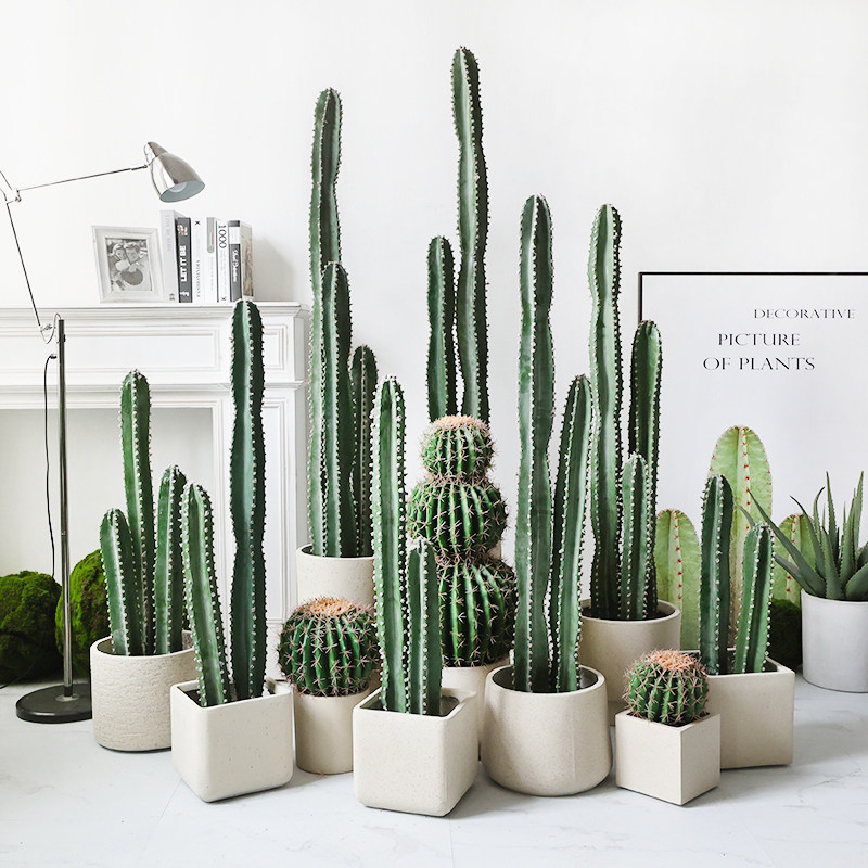Nordic Emulation Fairy column mass scale potted plant fake green plant Cactus Tropical Plant Shop Shop Window Decoration Pendulum-Taobao
