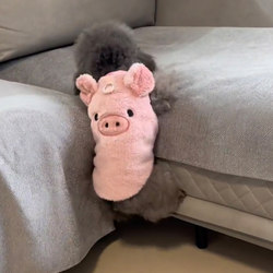 Traction-Compatible Dog Clothes, Autumn and Winter 2023 New Cute Style ins Small Dog Teddy Bichon Vest Transformation Outfit