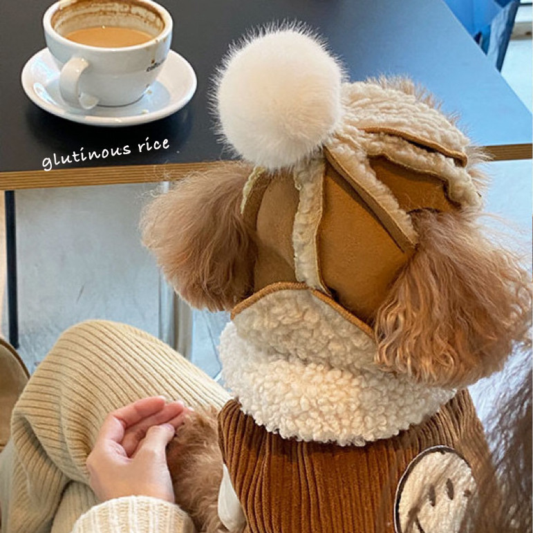 Dog hat winter dew ear pet dog photographed warm windproof hat to blame thickened with adjustable flight cap-Taobao